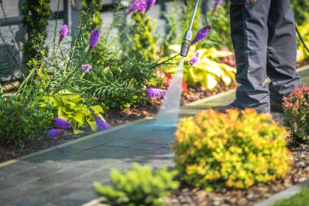 Best Sidewalk and Walkway Cleaning  in Stevensville, MI