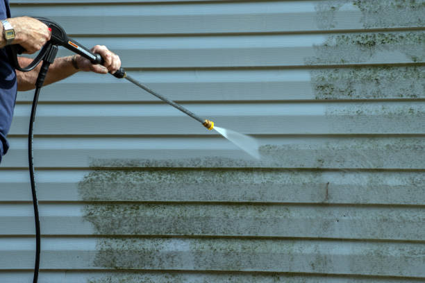 Best Rust Removal  in Stevensville, MI