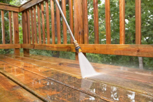 Best Spring Cleaning  in Stevensville, MI