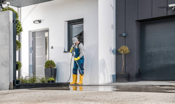  Stevensville, MI Pressure Washing Pros