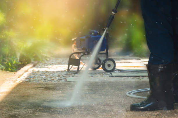 Animal Enclosure Cleaning in Stevensville, MI