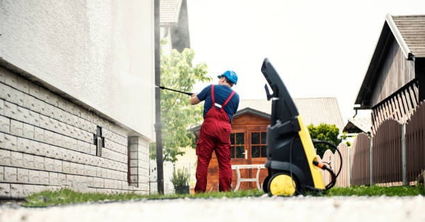Best Solar Panel Cleaning  in Stevensville, MI